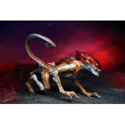 Figurka Panther Alien producent NECA