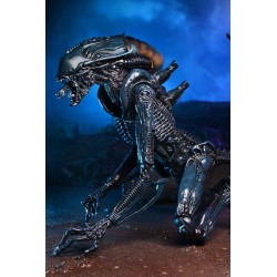 Figurka Arachnoid Alien Action Figure 20 cm - Predator
