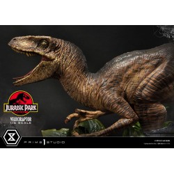 Statua Velociraptor pysk