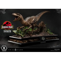 Statua Velociraptor dinozaur