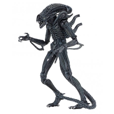 Figurka Alien Warrior Blue Action Figure 23 cm Ultimate - Obcy
