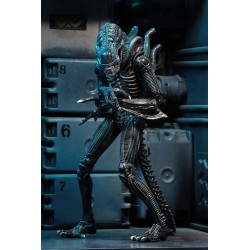 Figurka Alien Warrior Blue